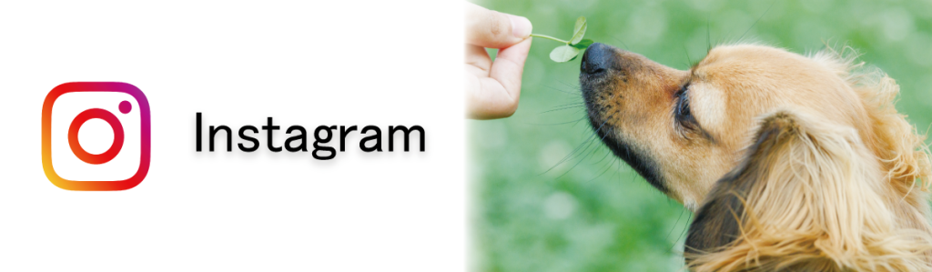 【株式会社WALKY】Instagramはこちら