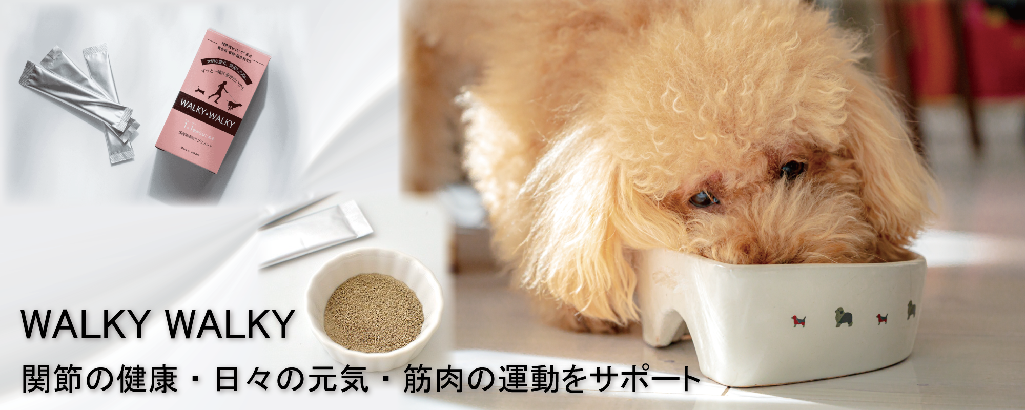 【株式会社WALKY】日々の健康をサポートします