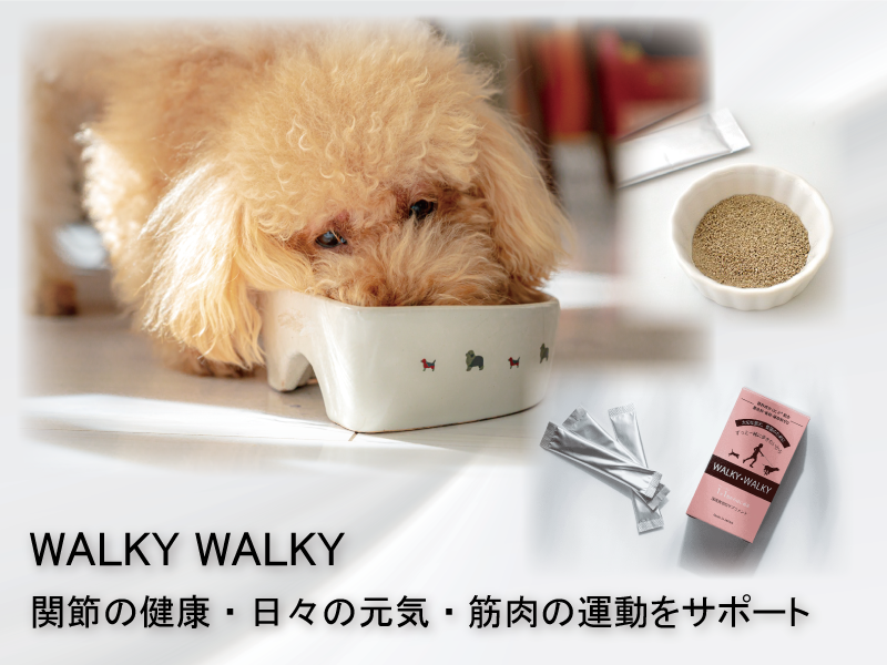 【株式会社WALKY】日々の健康をサポートします
