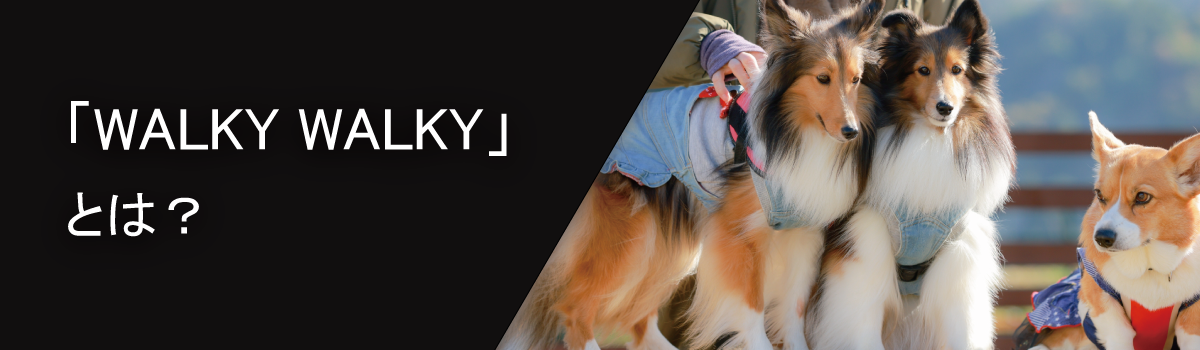 WALKYWALKYとは？