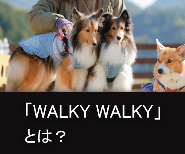 WALKYWALKYとは？